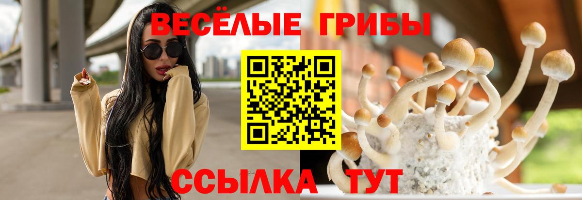 Галлюциногенные грибы ЛСД  Вход с VPN  Аксай 